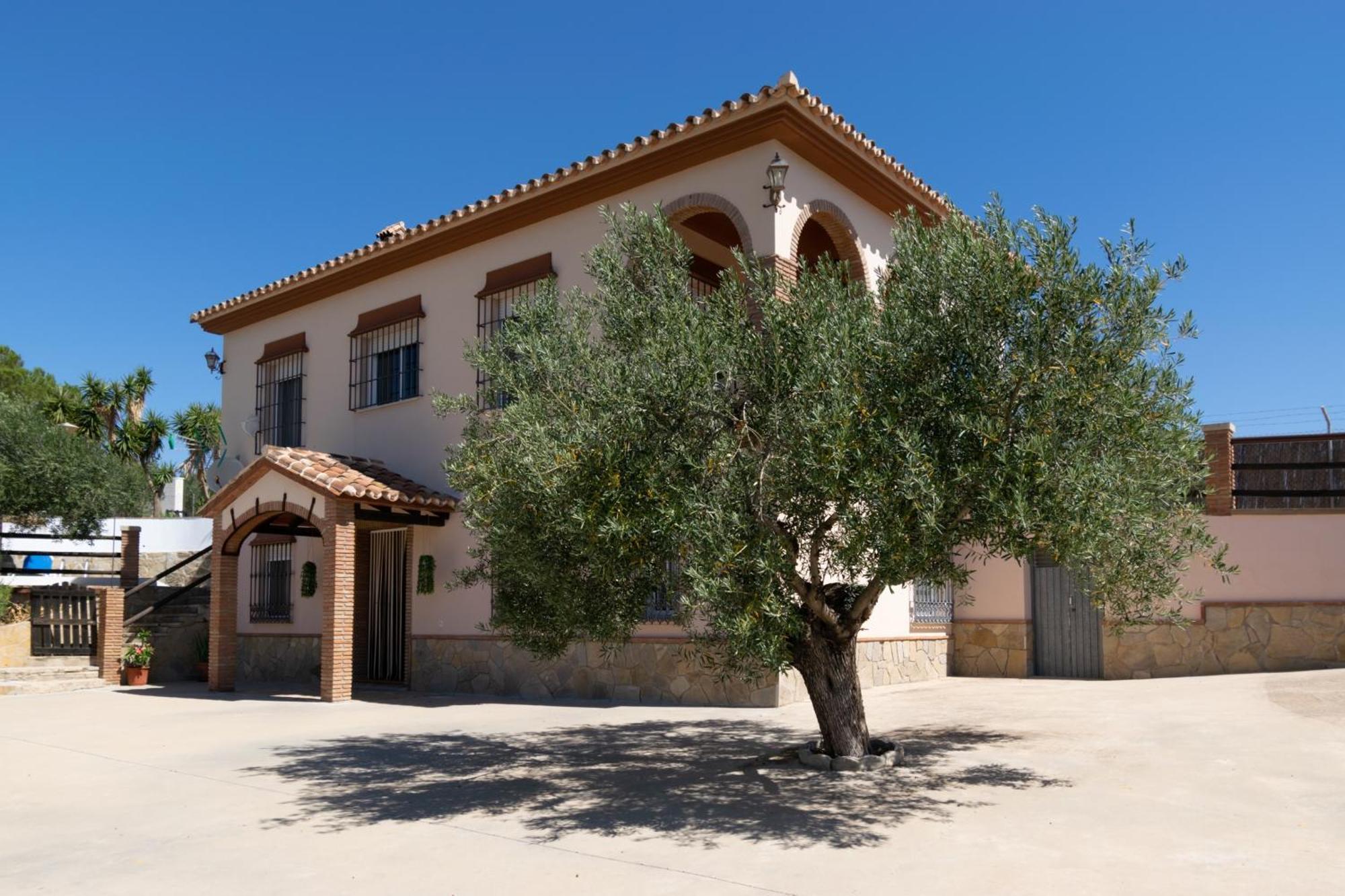 Casa Los Olivos Alora - Caminito Del Rey Εξωτερικό φωτογραφία