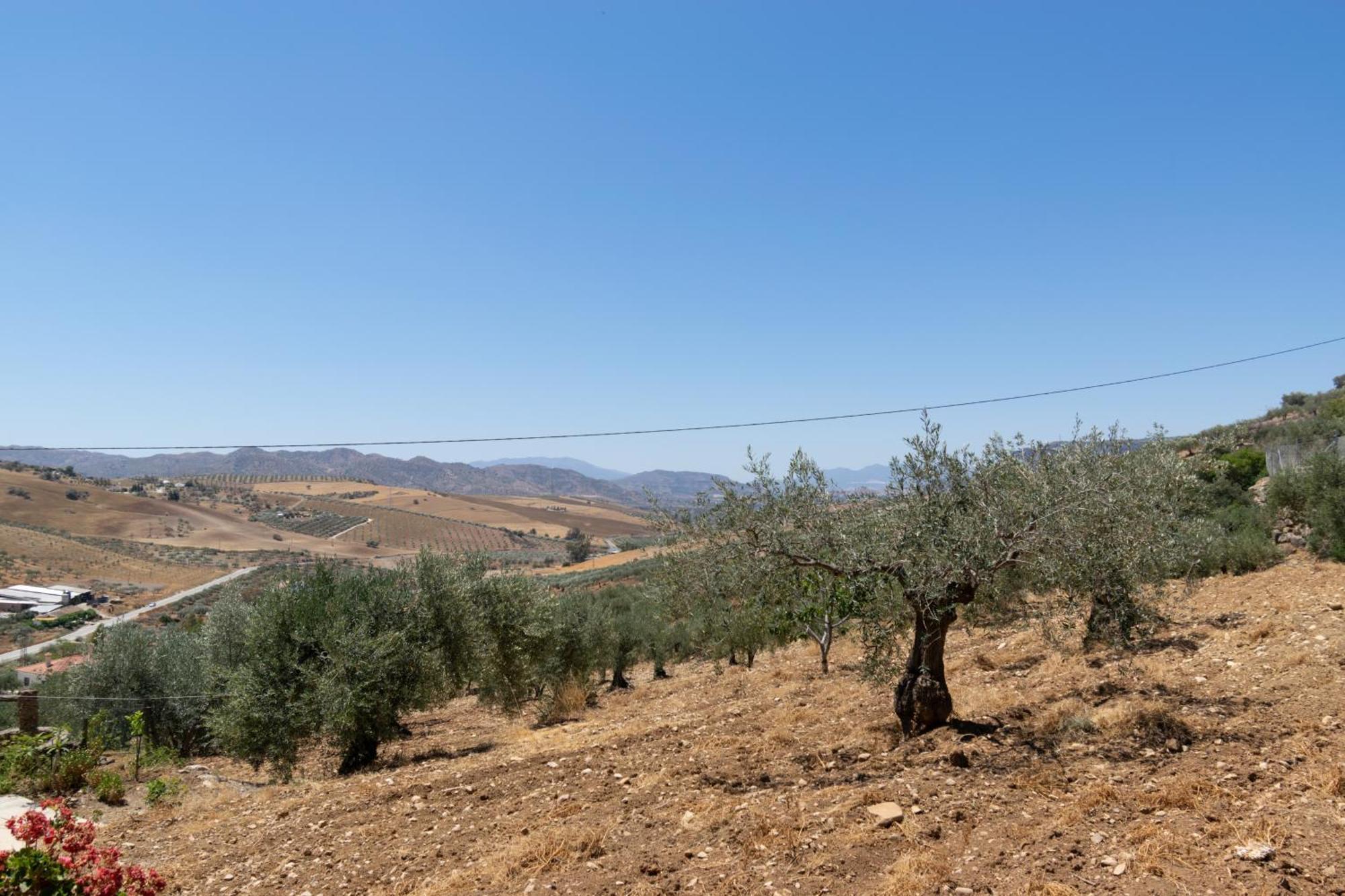 Casa Los Olivos Alora - Caminito Del Rey Εξωτερικό φωτογραφία